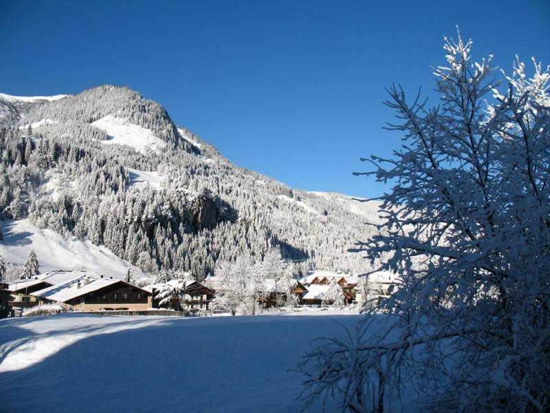 Zimmer & Appartements Schwarzenbacher Sonja & Konrad Kleinarl Exteriör bild
